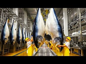 Inside the Factory: How Canned Tuna Is Made