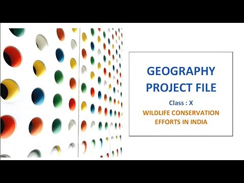 Geography Project on Wildlife Conservation Effort in India | Class 10 ICSE Geography project