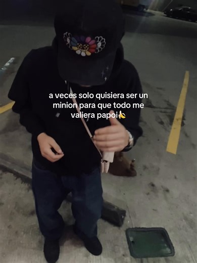 Ser un minion: ¿por qué a veces solo quiero que todo me valga papoi?