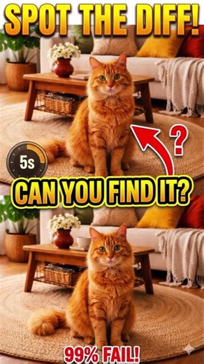 Test Your Observation Skills! Spot the Difference in 5 Seconds! 🐈🔍 #shorts #viral