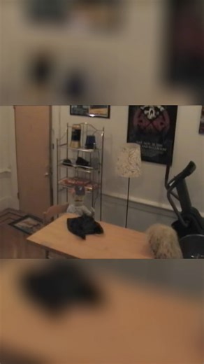 Muppet Caught In The Act #muppets #exposed #comedy