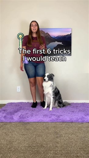 19K views · 2.3K reactions | Here’s the first six tricks I’d...