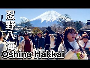Best Mt Fuji View Spot with Oshino Hakkai Springs 🗻 Oshino Village Yamanashi Japan travel vlog