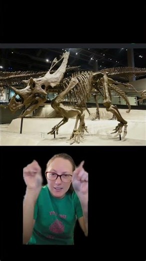 Utahceratops gettyi #scienceeducation #paleontology #paleontologist #fossils #dinosaurs #utah
