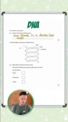GCSE Biology: Exam Question | DNA