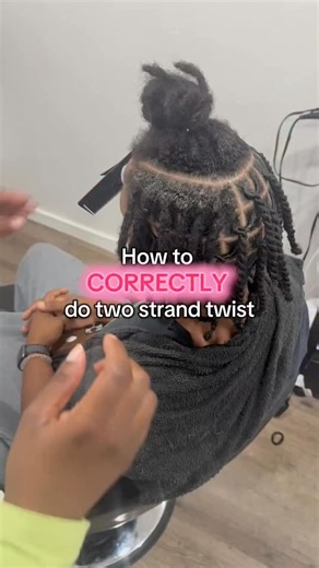 Danielle E. Brown on Instagram: "How to do two strand twist the correct way #twostrandtwist #locretwist #twostrandtwistlocs #twostrandtwists #fyp"