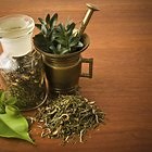 Herbs to Avoid on Metformin