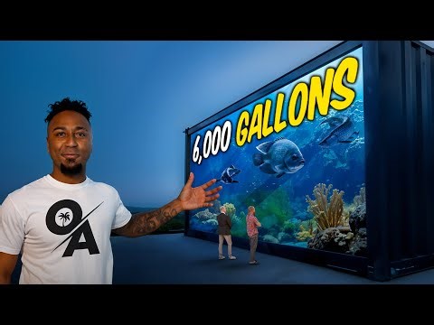 Ozzie Albies’ 6,000-Gallon MONSTER TANK – Part 2: Final Setup