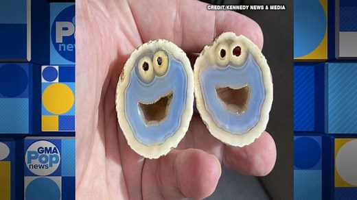 Geologist finds formation in rock that looks just like Cookie Monster