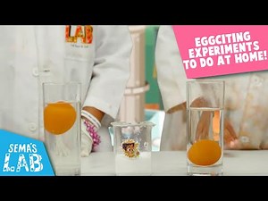 Amazing Egg Experiments For Kids To Do At Home | Sema's Lab