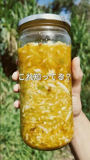 最強の発酵食ザワークラウト！#簡単#腸活