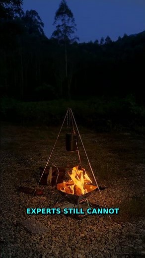 SHOCKING: The Secret Behind Unexplained Vanishings | Mysteries 2025