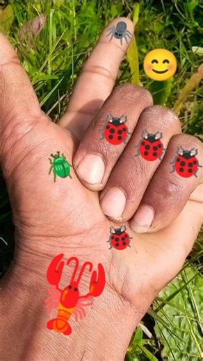 is the Smaller 🪲shiny jewel beetleYp-0781 #beautifulinsects #nature#anyuniqueanimals