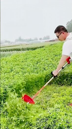 cool skills using a lawn mower #shorts