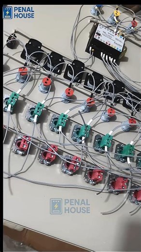 ⚡ NEXT LEVEL PANEL WIRING | Clean • Strong • Satisfying | #PenalHouse