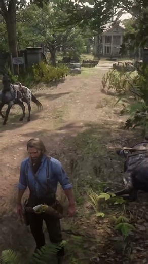 This horse had other plans 🏇🏿 #reddeadredemption #funny #horse #entertainment