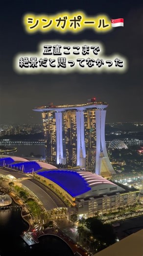 【シンガポール🇸🇬】想像以上に絶景の国だった❣️