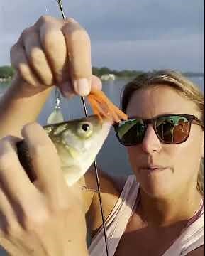 Catching White Perch with a Perch Pounder