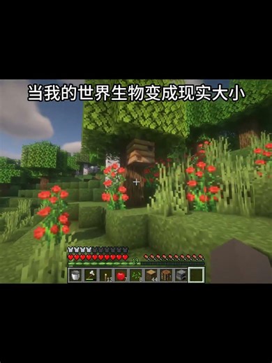 我的世界：我的世界當生物變成現實大小 When Creatures Become Real-Size