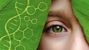 Siemens @ ACHEMA 2024