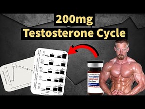 200mg Testosterone Cycle!? | Best Steroid Cycle? | Muscle Gains? | Side Effects? | Doctor's Analysis