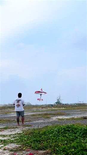 Hover/Prop Hang Techniques for Mamba60 RC Plane