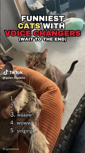 5 Cat Voice Changers That Are Officially Breaking TikTok #rankkings #viral2026 #cuteanimals #cute