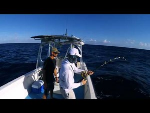 Part 1 | Spanish Wells, Bahamas | Land and Tuna Fishing