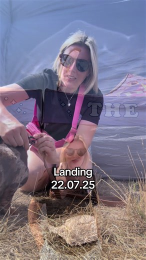 The Dog Shack on TikTok