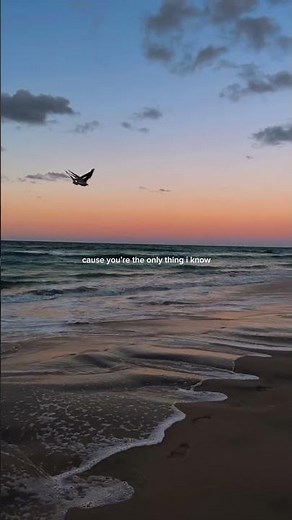 Cash Cash - Take Me Home (Lyrics)feat. Bebe Rexha #lyrics #musicshorts #cashcash #takemehome