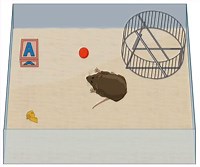 Learning and Memory: Types; Behavioral Tests & Techniques