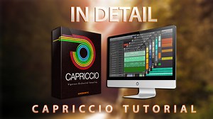 Capriccio - In Detail