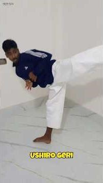 6 Type Karate Kick Tutorial #karate #kick #tutorial #shorts