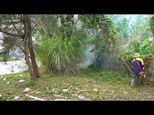 Epic Cleanup: 200 Meters of Trash-Covered Sidewalk Cleared in Record Time!