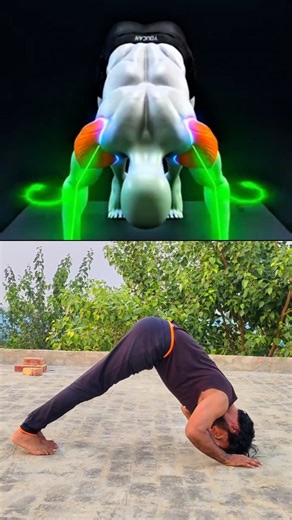 How To Do Perfect Pike Push-up 🔥 @fitness__inder #fitness__inder . . . . #calisthenics #pike #pikepushups #pushup #mistakes #perfect #ytindia #ytshort #shorts #explore #expolarpage #motivation #trending #fitness #fitnessmotivation #yoga #exercise #strength #foryoupage #fyp #inder #Ellenabad | fitnessinder