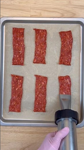 DIY DOG BEEF JERKY RECIPE #dogs #petreels