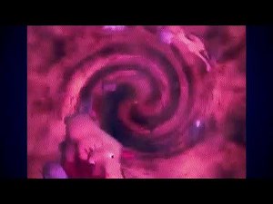 animal trax ~ camel adaptation song﹝slowed + reverb﹞