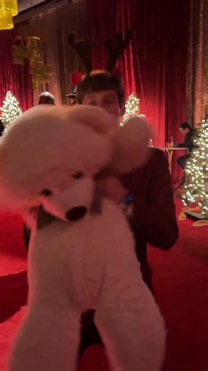 Here’s a little peek at what it’s like to attend Seth MacFarlane’s fabulous Christmas party in #Hollywood! Thank you to Kay for inviting me and to @macfarlaneseth @lizgillz and @logic for the unforgettable entertainment! The experience was curated by @experiencenve and they truly transported everyone in attendance to a fabulous Christmas #circus! 🎪 Made my #Christmas for sure!! 🎄 #christmasparty #cirquedusleigh | Jeremy Stutes