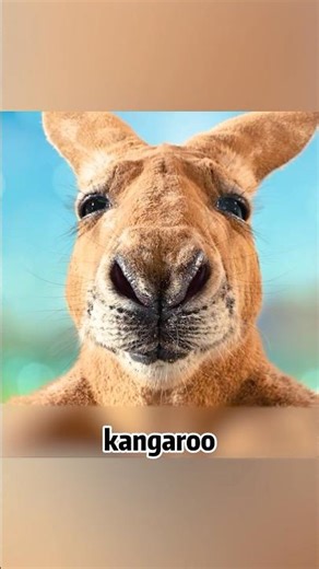 “Rocket Chase on the Moon… and a Kangaroo Kicks Him! 😂🦘”#shorts #funny #movie