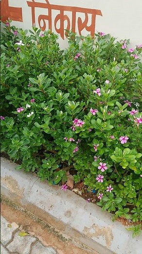 The Most INSANE Big Wave Surfing Moments