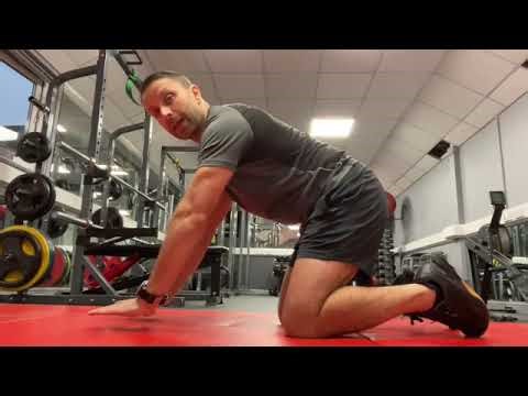 Bird Dogs For Lower Back Stability & Control