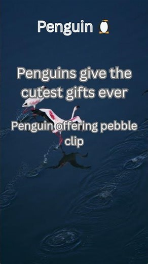 Amazing Penguins Facts for Kids! 🦈