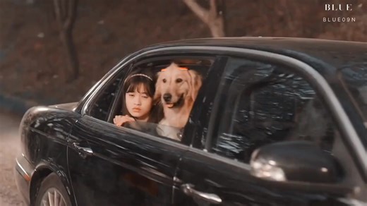 Korean Love Story: A Dramatic Journey