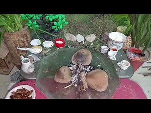 Miniature Pizza Recipe | Kids Cooking | Zolabati - Mini Foodkey