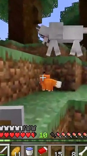 113K views · 3.1K reactions | The saddest death in minecraft #minecraftmemes #minecraft | Minecraft Daily Videos | Facebook