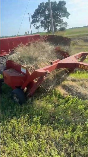 Farmall 450 and new holland 166 inverter turning hay #ih #farmall #farming