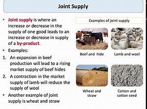 Explaining the Theory of Supply