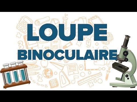 Utiliser une Loupe Binoculaire-SVT-Mathrix