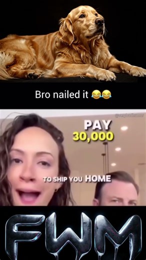 Bro nailed it #funny