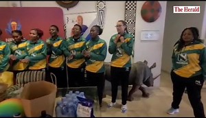 11K views · 510 reactions | Gems receive major boost at Netball World Cup after funeral services company Zororo-Phumulani which is powered by Doves Zimbabwe donated an assortment of equipment to the team in Cape Town, South Africa this afternoon. : Tadious Manyepo | The Herald-Zimbabwe | Facebook